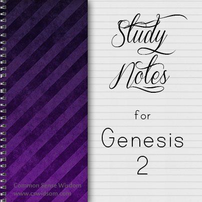 Genesis Bible Study, Bible Journal Notebooks, Verse Mapping, Bible Study Topics, Bible Study Printables, Book Of Genesis, Understanding The Bible, Bible Study Methods, Christian Journaling