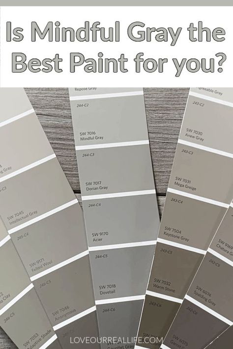 Sw 7016 Mindful Gray, Antique White Sherwin Williams, Intellectual Gray, Perfect Greige, Mindful Gray Sherwin Williams, Perfect Grey Paint, Home Depot Paint, Anew Gray, Sherwin Williams Gray