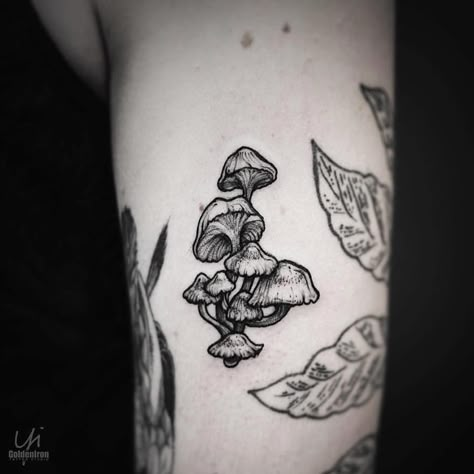 Black mushrooms tattoo by Yi Postyim inked on the left arm Mushrooms Tattoo, Black Mushrooms, Side Arm Tattoos, Left Arm Tattoos, Jagua Henna, Mushroom Tattoo, Nature Tattoo Sleeve, Mushroom Tattoos, Tattoo Cover