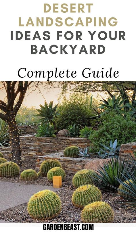 Desert Landscaping Ideas, Backyard Arizona, Arizona Backyard Landscaping, Dessert Landscaping, Desert Landscaping Backyard, Pavers Design, Desert Backyard, Arizona Backyard, Desert Theme