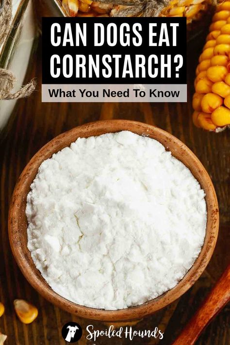 Can dogs eat cornstarch? Keep your dog safe and find out what you need to know about dogs eating corn starch. Corn Allergy, Dogs Eating, Foods Dogs Can Eat, Food Resources, Simple Nutrition, Dog Itching, High Calorie Meals, Dog Tips, About Dogs