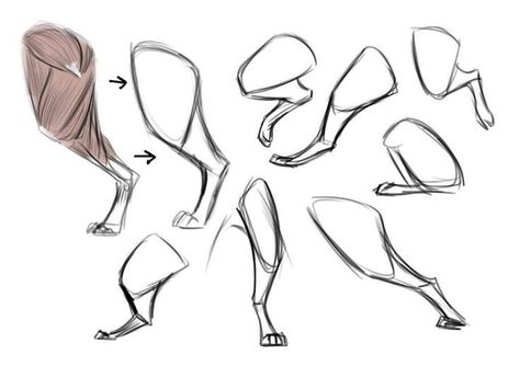 Cat Back Legs Drawing, Cat Legs Drawing, Cat Legs Reference, Animal Legs Drawing, Anthro Legs Reference, Cat Anatomy Reference, Draw Wolf, Animal Base, Anatomy Tips