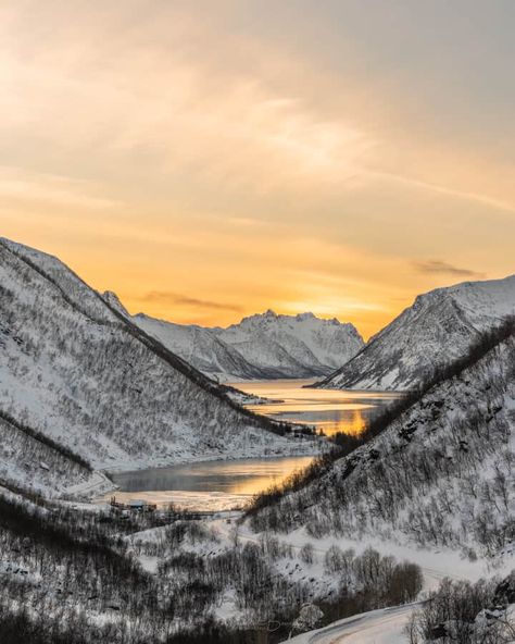 Easy Jet, House Of The Rising Sun, Tromso, Destination Voyage, Narwhal, Nature Travel, Scandinavia, Nature Photos, Sunrise Sunset