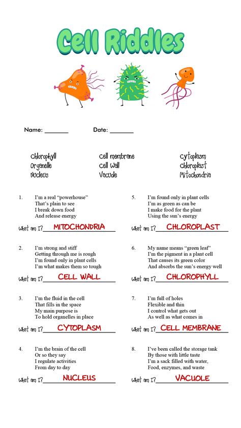 Prokaryotic and Eukaryotic Cells Worksheet Answers Fun Biology Activities High Schools, Teaching Cells Middle School, Cells Project Ideas, Cells Middle School Activities, Cell Labs For Middle School, Teaching High School Science, Biology Games High Schools, Biology Project Ideas High Schools, Cell Projects Middle School