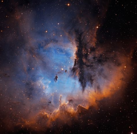 Portrait of NGC 281 Image Credit & Copyright: Martin Pugh Emission Nebula, Astronomy Pictures, Jobs In Art, Star Formation, Star Cluster, Space Images, Carl Sagan, Light Year, Dark Skies