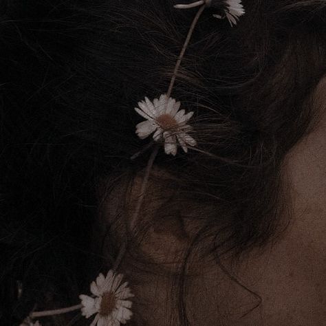 Patrick Watson, Invisible Life Of Addie Larue, Addie Larue, Fotografi Vintage, Dark Academia Aesthetic, Academia Aesthetic, + Core + Aesthetic, The Invisible, Beige Aesthetic