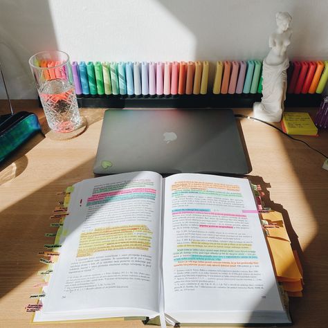 Highlighters Markers Study, Law Student Aesthetic Uk, Study Aesthetic Law, Study Law Aesthetic, Lawyer Student Aesthetic, Law Student Study, Highlighters Stabilo, Studying Law Aesthetic, Aesthetic Law School