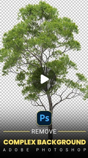 Remove Background In Photoshop, Complex Background, Photoshop Edits, Best Free Lightroom Presets, Photoshop Course, Adobe Photoshop Design, Adobe Tutorials, Adobe Photoshop Tutorial, Learn Photoshop