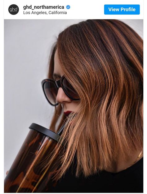 Tortoise Shell Hair Color, Tortoise And The Hare, Warm Hair Color, Ghd Hair, Don't Talk To Me, Tortoise Hair, Tortoise Shell Hair, Dimensional Color, Winter Hair Color