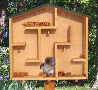 A-Mazing Squirrel House Wood Plan Squirrel Maze Feeder, Squirrel Feeder Ideas, Squirrel Feeder Diy, Squirrel House, Squirrel Home, Squirrel Feeders, Squirrel Feeder, Bird House Feeder, Bird House Plans