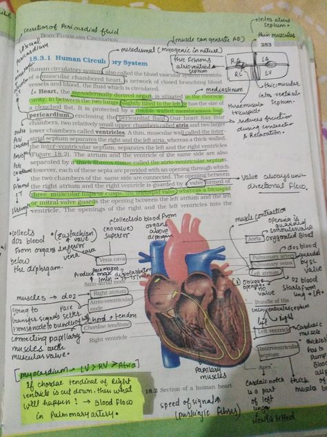 Ncert Aesthetic, Body Fluids And Circulation Notes, Neet Topper, Class Snap, Ncert Biology, Cell Biology Notes, Biology Class 11, Bio Notes, Biochemistry Notes