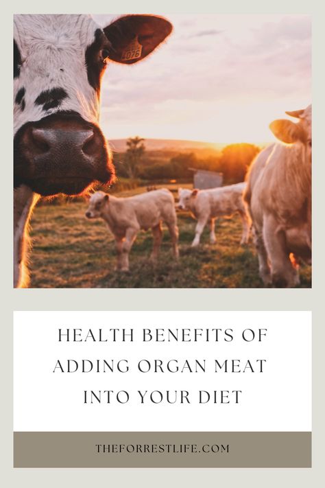 Read along as I share some of the many positive health benefits associated with adding organ meat into your diet. I also give you some tips and tricks to more easily add it into your daily repertoire. Beef Organs Benefits, Organ Meat Supplement, Benefits Of Beef Organ Supplements, Beef Organ Benefits, Beef Organ Supplements Benefits, Organ Meat, Eat Beef, Digestive Health, Natural Health