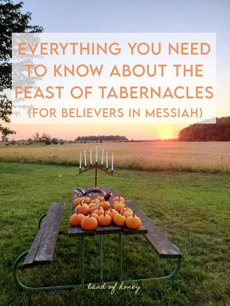 Passover Feast, Hanukkah Traditions, Jewish Feasts, Feasts Of The Lord, Messianic Jewish, Feast Of Tabernacles, Jewish Festivals, Hebrew Roots, Whats In Season