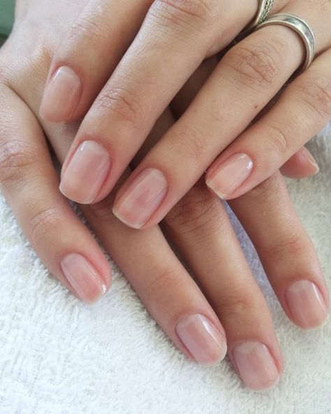 Natural Summer Nails, Short Classy Nails, Nail Shapes Squoval, Bare Nails, Natural Nails Manicure, Summer Nails 2024, Nails 2024, Clean Nails, Manicure Y Pedicure