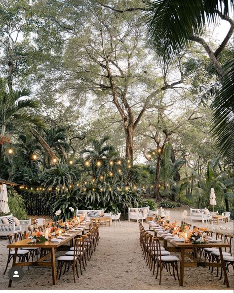 Tropical Wedding Venue, Tropical Paradise Beach, Long Table Wedding, Dream Beach Wedding, Costa Rica Wedding, Nosara, Wedding Venue Inspiration, Luxury Destinations, Luxury Destination Wedding