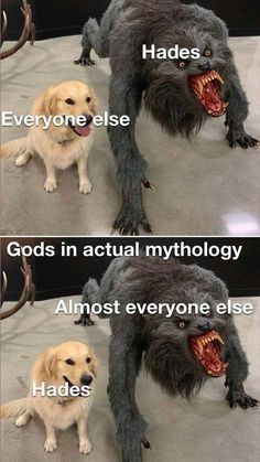 Percy Jackson Persephone, Greek Mythology Jokes, Greek Memes Mythology, Greek Mythology Memes Funny, Percy Jackson Hades, Greek Mythology Pfp, Nymphs Greek Mythology, Greek Mythology Fanart, Funny Mythology