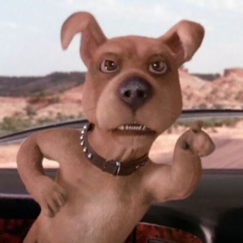 Scooby Doo 2002, Scrappy Doo, Live Action, Scooby Doo, Tv Series, Film