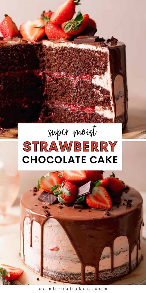 Chocolate strawberry cake- three layers of moist chocolate cake, strawberry filling, strawberry buttercream, and chocolate ganache. It's basically a giant chocolate-covered strawberry in cake form! A perfect decadent dessert idea for any occasion. | Cambrea Bakes Chocolate Strawberry Filling Cake, Strawberry Chocolate Ganache Cake, Strawberry Filled Chocolate Cake, Strawberry Cake With Chocolate Ganache, Half Chocolate Half Strawberry Cake, Strawberry Carrot Cake, Chocolate Cake And Strawberries, Best Layered Cake Recipe, Chocolate Birthday Cake With Strawberry