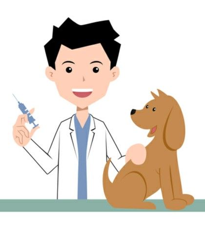 Vector Art Illustration, Dog Illustration, Eps Vector, Quiet Book, Video Footage, Veterinarian, Cartoon Design, Cartoon Drawings, Digital Illustration