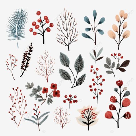 winter floral design elements in hand drawn style christmas doodle plants berries branches set lea Winter Leaves Illustration, Christmas Floral Doodle, Christmas Floral Drawings, Christmas Plants Drawing, Christmas Plants Illustration, Winter Plants Illustration, Winter Foliage Illustration, Simple Christmas Illustration, Christmas Flowers Drawing