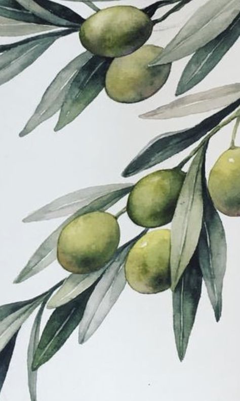 Olive Branch Painting Acrylic, Olive Tree Drawing, Olive Branch Painting, Olive Branch Art, Olive Tree Painting, Branch Drawing, Dotted Drawings, Olive Leaves, Tree Artwork