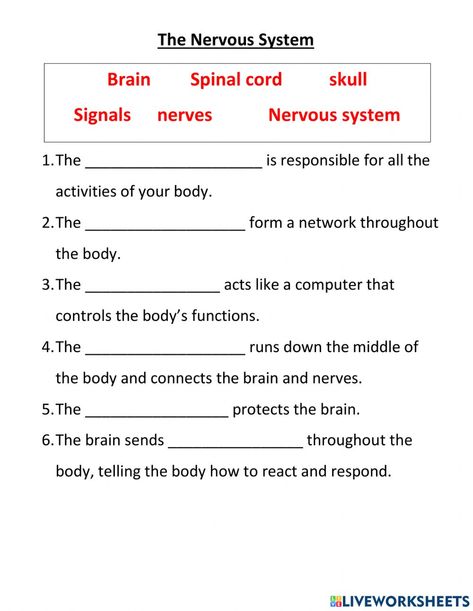 The nervous system online worksheet for 4. You can do the exercises online or download the worksheet as pdf. Nervous System Activities For Kids, Nervous System Worksheet, Nervous System Diagram, Evs Worksheet, Body Systems Worksheets, Medical Terminology Study, Nervous System Activities, Human Body Worksheets, Sistem Saraf