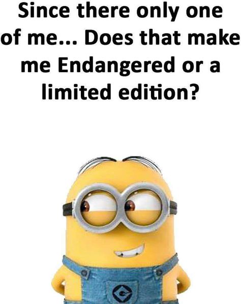 But what if you have  a twin that looks and acts like you!! Minions Images, Minions Fans, Minion Memes, Quotes With Pictures, Funny Minion Pictures, Funny Minion Memes, Minion Pictures, Minion Jokes, A Minion