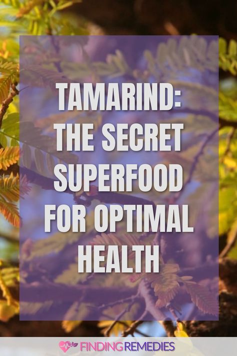 Tamarind: The Secret Superfood for Optimal Health Tamarind Seeds Benefits, Tamarind And Thyme Recipes, Tamarind Benefits Health, Tamarind Uses, Tamarind Benefits, Benefits Of Tamarind, Health Benefits Of Tamarind, Tamarind Water, Tamarind Recipes