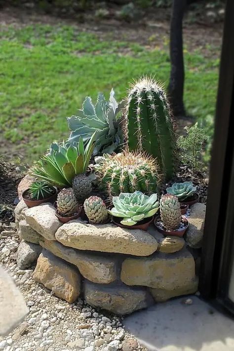 Succulent Rock Garden Landscaping, Cactus Garden Design, Cactus Garden Landscaping, Succulent Rock Garden, Cactus Arrangement, Arizona Decor, Garden Landscaping Ideas, Small Front Yard Landscaping, Succulent Landscaping