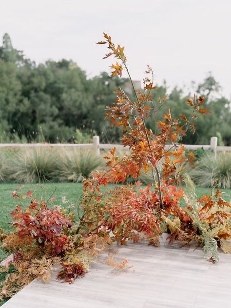 Contemporary Fall Wedding, Fall Leaves Wedding Arch, Fall Ceremony Arch, Birch Wedding Arch Flowers, Fall Flower Installations, Autumn Floral Installation, Grounded Floral Arches, Wedding Reception Dance Floor, Fallen Arches