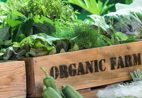 9 Savvy Ways to Save Money on the Paleo Diet Organic Farming Project, Alkaline Breakfast, Healthy Sport, Organic Diet, Unprocessed Food, Organic Farm, Eating Organic, Organic Produce, Organic Vegetables