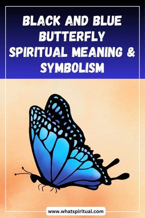 black-and-blue-butterfly-spiritual-meaning-symbolism Meaning Of Butterflies, Blue Butterfly Meaning, Butterfly Spiritual Meaning, Butterfly Spiritual, Butterfly Meaning, Bible Love, Spiritual Meaning, Twin Flame, Blue Butterfly