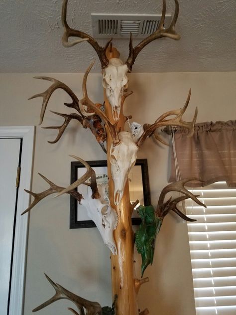 Euro Mount Plaque, Decor With Deer Mounts, Euro Mount Display, European Deer Mount Ideas Display, European Mount Display, Euro Mount Ideas, Deer Antler Mount Ideas, Deer Antler Table, Antler Display Ideas