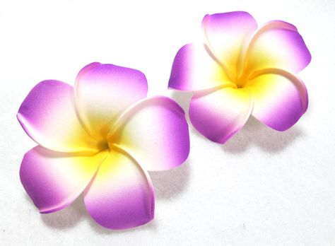 Plumeria Clipart - Cliparts.co Painted Lizard, Purple Plumeria, Fence Flowers, Plumeria Tattoo, Fabric Colour Painting, Pencil Techniques, Hawaiian Tattoo, Fabric Paint Designs, Plumeria Flowers