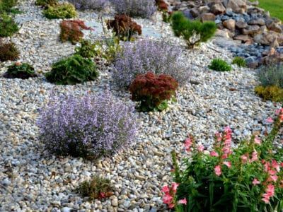 Pea Gravel Garden, Xeriscape Front Yard, Pebble Garden, Gravel Landscaping, Seaside Garden, Gravel Patio, Dry Garden, Gravel Garden, Coastal Gardens