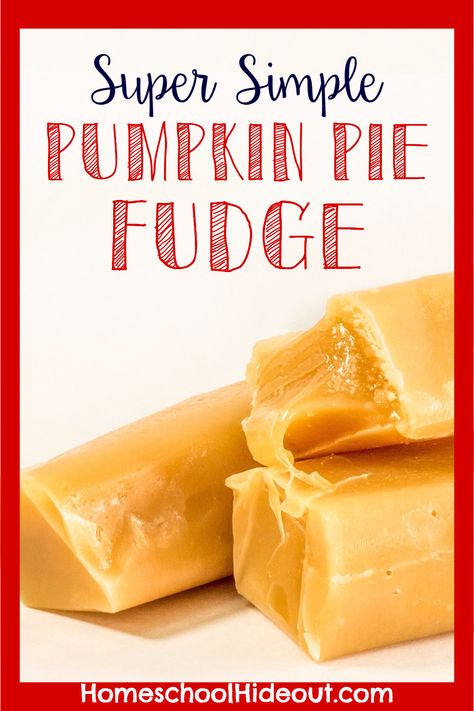 Pumpkin Pie Fudge, Simple Pumpkin Pie, Perfect Pumpkin Pie, Pumpkin Pie Ice Cream, Pumpkin Fudge, Everything Fall, Fudge Ingredients, Pumpkin Pie Recipe, Kid Friendly Snack