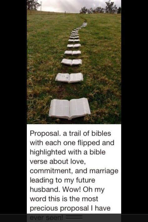 Bible Proposal Ideas, Christian Ideas For Wedding, Christian Proposal Ideas, Future Husband Box Ideas, Purposal Ideas, Christian Engagement Photos, Christian Wedding Ideas, Engagement Proposal Ideas, Christian Engagement