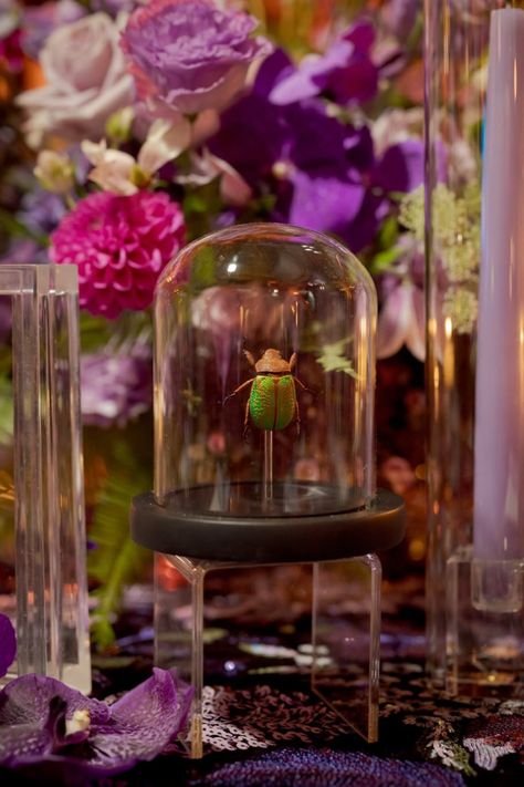 A bold touch of nature with a vibrant beetle centerpiece, perfect for a non-traditional wedding. Bug Wedding, Non Traditional Wedding, Nontraditional Wedding, Traditional Wedding, Event Planning, Wedding Details, Wedding Inspo, How To Plan, Nature