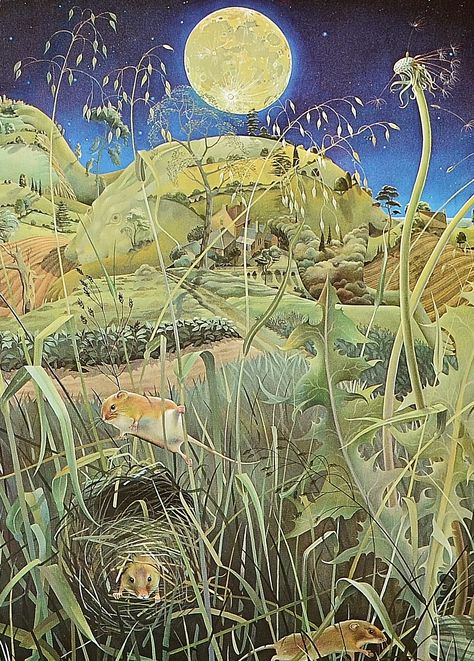 Kit Williams Masquerade  (IS THIS A DANDELION at the top right? Kit Williams, Nature Posters, Love Illustration, Cool Landscapes, Children's Book Illustration, Nature Design, Fantasy Landscape, Botanical Illustration, Natural World