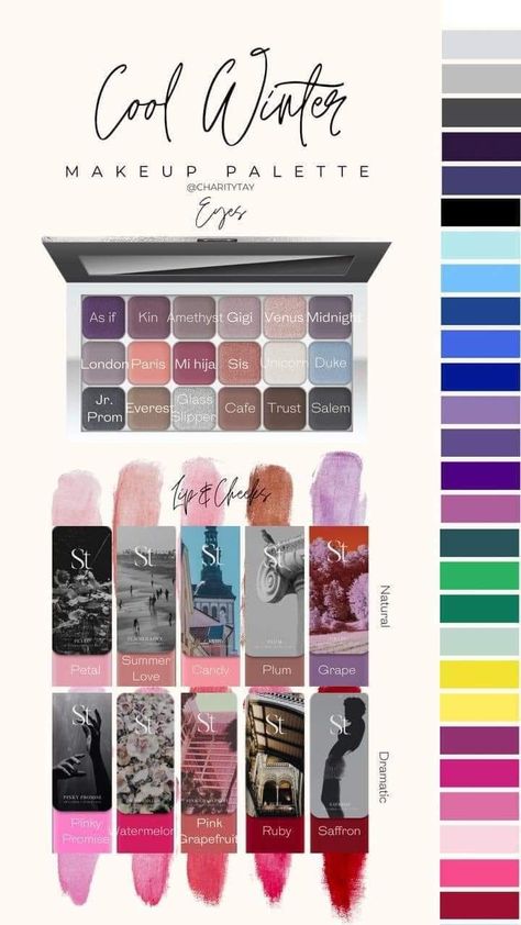 SEINT MAKEUP - Perfectly Matched | I hope this helps …….which one are you Winter Makeup Palette, Cool Winter Makeup, True Winter Palette, Hoc Winter, Color Analysis Winter, True Winter Color Palette, Winter Eyeshadow, Winter Lipstick, Cool Winter Color Palette