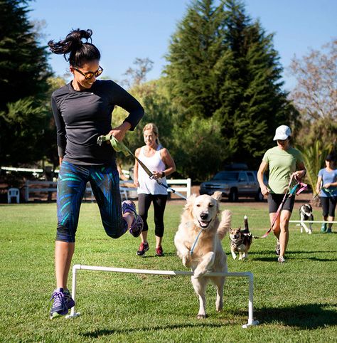 Here are 52 ways to experience San Diego with your four-legged friend Dog Festival, Pet Garden, Baseball Park, Guide To, Pet Spaces, Dog Garden, Working Dog, Dog Yoga, Me And My Dog