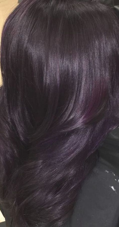 29 Dark Purple Hair Colour Ideas to Suit any Taste in 2019Dark Purple Hair Colour Ideas Coloring in a unique color is a great way to make yourself knownThis option is suitable for youngseekingnatureABluePurple Purple Hair Colour Ideas, Purple Tinted Hair, Purple Hair Colour, Dark Violet Hair, Purple Black Hair, Dark Purple Hair Color, Purple Brown Hair, Blue Purple Hair, Purple Hair Highlights