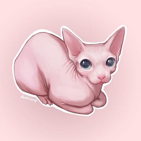 Draw me like one of your Bingus | Bingus | Know Your Meme Cute Hairless Cat, Cat Anatomy, Sphinx Cat, Cute Little Kittens, Hairless Cat, Cat Character, Sphynx Cat, Animal Sketches, Know Your Meme