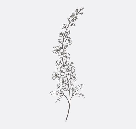 Delphinium Tattoo, Larkspur Tattoo, Delphinium Flowers, Tattoo Themes, Flower Line Drawings, Flower Sketches, Jewelry Tattoo, Dainty Tattoos, Hip Tattoo