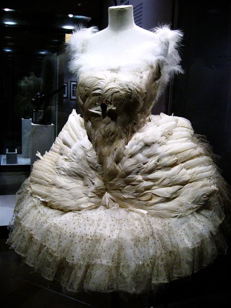 Anna Pavlova's swan costume.She died of illness at a relatively young age,and it is said that her last words were to ask that her swan costume be prepared Swan Lake Costumes, Swan Costume, Swan Lake Ballet, Ballet Russe, Anna Pavlova, Ballet Beauty, Ballet Beautiful, Ballet Tutu, Ballet Costumes