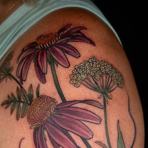 Alice Kendall on Instagram: "Thank you for coming in for this up for grabs Jami! Echinacea and Queen Anne’s Lace bundle @wonderlandpdx" Rudbeckia Tattoo, Echinacea Tattoo, Paintbrush Tattoo, Indian Paintbrush, Lace Tattoo, Thank You For Coming, Queen Annes Lace, American Traditional, Queen Anne