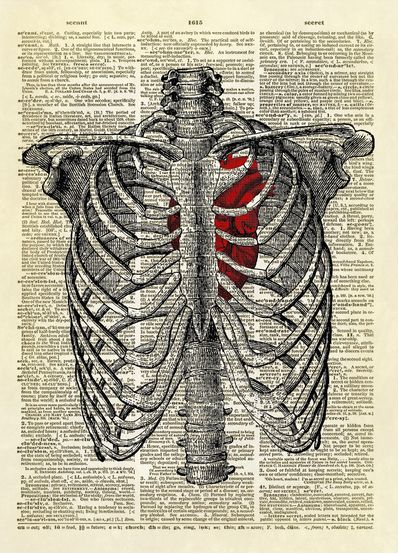 Human Ribs, Human Rib Cage, A Human Heart, Dictionary Book, Book Page Art, Dictionary Art Print, Human Figure Drawing, Dictionary Page, Vintage Dictionary