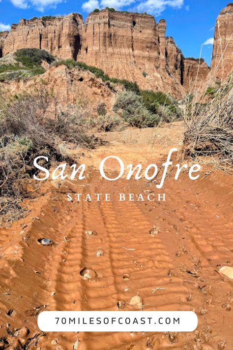 Come with me to explore the natural wonders of San Onofre State Beach, my favorite place in San Diego County! #SanOnofreStateBeach #SanOnofre #SanOnofreBluffsCampground #TrestlesBeachTrail #NativePlants #Surfing #Camping #Hiking #Nature #SouthernCalifornia #California #Bluffs #Ocean #CoastalSageScrub #SanDiego #NorthCountySanDiego #SanClemente #PanheNatureTrail #Trestles #Hiking #NatureTrail #SouthernCalifornia #California #Acjachemen #Beach #Surfing #OldMans #Geology #Bluffs #Surfing San Onofre Beach, San Onofre, Camping Site, Beach Surfing, Berry Farm, Hiking Nature, San Diego Beach, Come With Me, San Clemente