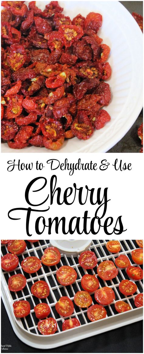 How to Dehydrate Cherry Tomatoes | The CentsAble Shoppin Preserving Cherry Tomato Recipes, How To Dehydrate Tomatoes, Dehydrator Tomatoes, How To Make Dried Tomatoes, How To Can Cherry Tomatoes, Canning Recipes For Cherry Tomatoes, Dehydrate Tomatoes, Roasted Tomato Canning Recipes, Candied Cherry Tomatoes