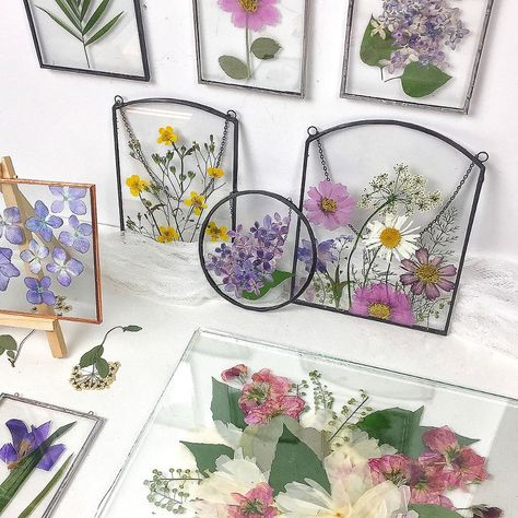 Glass Pressed Frame, Pressed Flower Art Projects Inspiration, Pressed Flowers In Glass Frames Diy, Stained Glass Dried Flowers, Pressed Flower Glass Frame Diy, Ideas For Pressed Flowers, Pressed Flower Stained Glass Diy, Stained Glass With Dried Flowers, Framed Pressed Flowers Diy